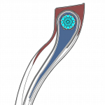Bead damage - the cross section of a tyre bead